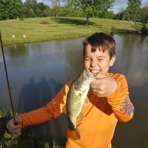 Meet your Posher, Kristopher